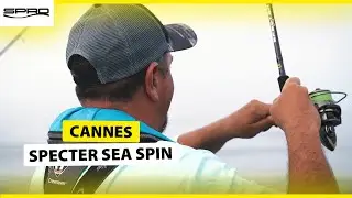 Specter Sea Spin, la Canne Parfaite pour le Bar !