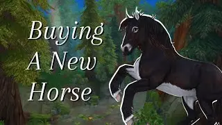 Buying a new horse in Star Stable