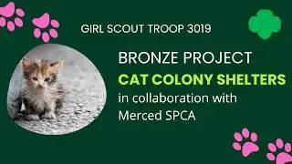 Junior Bronze Award Project 2025 - Winter Cat Shelters for Community Cats