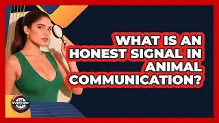 What Is An Honest Signal In Animal Communication? - The Everyday Why