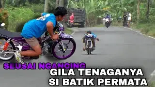 HABIS NGANCING TENAGA DAN SUARA 🔊 NYA BEDA (BATIK PERMATA BROILER)