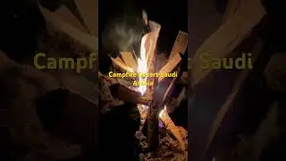 Campfire Desert Saudia #fire #relax #survival #relaxing #camping #solo #virtualfireplace