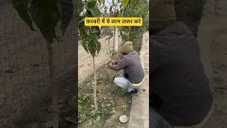 Do this work in February #nature #plants #gardening #yt #garden #foryou #love #ytviral #flowers