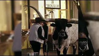 2025 Houston Holiday Party