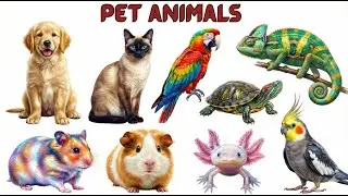 Pet Animals Name | पालतू जानवरों के नाम | Learn Animals Name for Kids