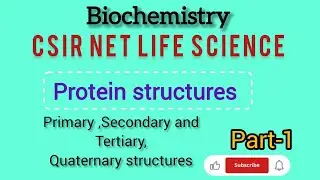 Protein Structure | Primary & Secondary Structure | &alpha;-helix & &beta;-sheet Explained  Hindi + English Mix