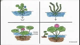 探索水的世界：一趟四年級的科學探險