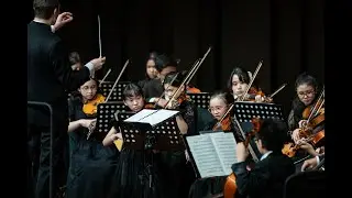 Hungarian Dance No. 5 (Johannes Brahms)