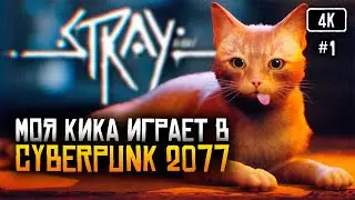 [4K] Stray прохождение на русском 🅥 Стрей полное прохождение и обзор игры