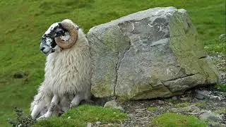 FLAMMEURT'S ULTIMATE THEME V II    (MORE CELTIC MUSIC)