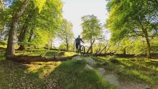 Original Tarland Trails 1 - Blue Trail.  Evening ride.