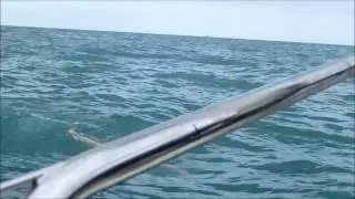 Bethany's English Channel Swim