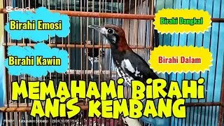 Memahami Birahi Anis Kembang @Sobat Anis Kembang