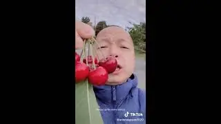 tiktoks with vine energy