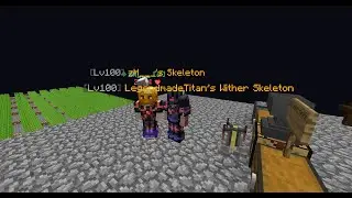 Minecraft Hypixel Skyblock NEW LEVELING UPDATE