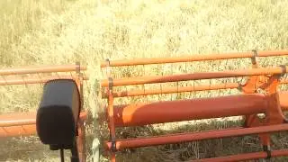 Lexion 760 in der Gerste