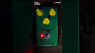 Joyo Vintage Overdrive vs Maxon OD808 #joyopedals #maxonod808