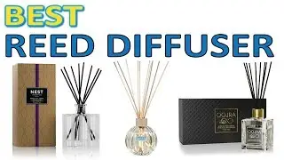 THE 5 Best Reed Diffusers 2019