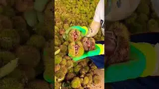 #viral#fruitcrush #shorts #shortvideo #ytshorts