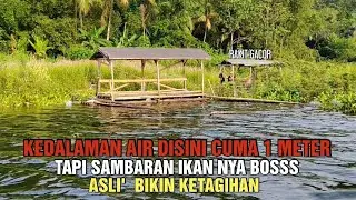 Kedalaman air disini hanya 1 meter tapi sambaran ikannya banyak ❗ mancing cirata terbaru hari ini 