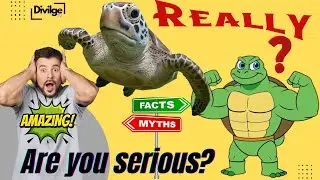 Turtles CAN&rsquo;T Leave Their Shells! The Shocking Truth About Their Anatomy 🐢💀 Divulge TV