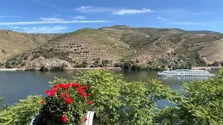 Porto and the Douro Valley on a cruise | CroisiEurope Cruises