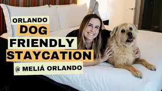 Dog-friendly Orlando Staycation! Dogs of all ages and sizes welcome at Meli&aacute; Orlando Celebration