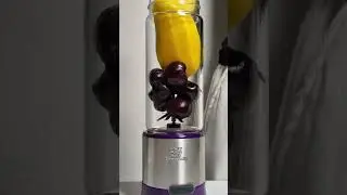 Immersion Blender Smoothie Recipes.