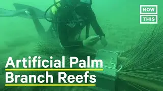 Activists Work to Preserve Tunisia's Marine Environments