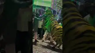 II Lion🦁 at Sadar II #sadarbulls