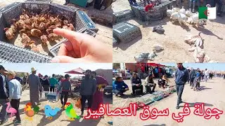 جولة في سوق العصافير بمدينة سيدي بلعباس في شهر رمضان المبارك marché des oiseaux en Algérie