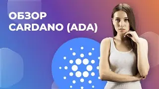 Cardano (ADA): обзор монеты, где и как ее купить