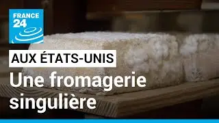 Aux &Eacute;tats-Unis, la difficile ascension des fromages &agrave; p&acirc;te molle &bull; FRANCE 24