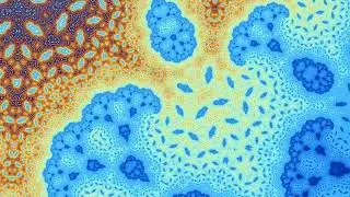 Escape-Time Fractals