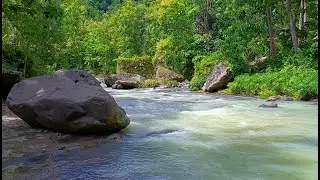 Soothing Water Flowing Ambience for Sleep and Deep Relaxation