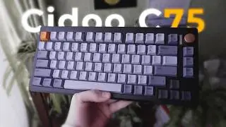 Обзор На Магнитку Cidoo C75 \\ Магнитная клавиатура cidoo