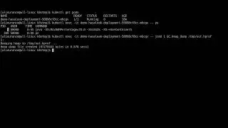 Getting a heap dump from a running java app in kubernetes