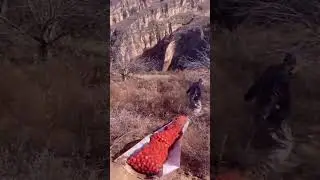 Traditional Crop Transportation Process