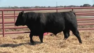 44 Farms Tag 840
