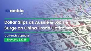 Currency Report: May 2nd 2025 - TKambio USA | Key Global TKambio USA Market Updates