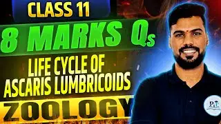 Life Cycle of Ascaris lumbricoids In One Shot Class 11 || PIT CLASSES || #zoology #boardexam