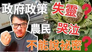 官方帶頭衝菜失敗？越南農民數錢數到手軟，台灣農民只能把菜當垃圾丟？| 誰的問題? 你的菜錢其實都是房租？