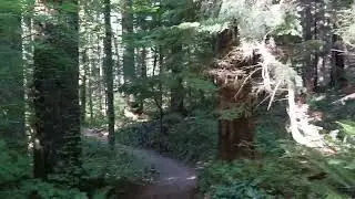 Silver Falls S.P, Rim Trail