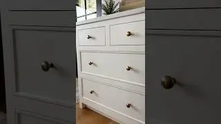 Belle Knob in Aged Brass | Tradition Hardware