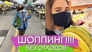 ПОКУПКИ В СТИЛЕ ZERO WASTE В ОБЫЧНОМ СУПЕРМАРКЕТЕ США | НАСТОЯЩИЙ АМЕРИКАНСКИЙ ФЕРМЕРСКИЙ РЫНОК