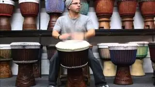 Drumskull Drums Guinea Hare Djembe w/ American Goat Skin - DSD-08547