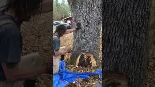 Lee doing a surgery in Oregon 2018