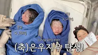 일란성쌍둥이 은우지우 탄생🎂🥳