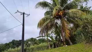 VENTE VILLA F6 - PETIT-BOURG - GUADELOUPE