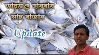 ডায়মন্ড হারবার পাইকারি মাছের বাজার 2023 || Different fish price in Daimond Harbour  ||